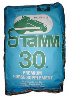 スタム３０